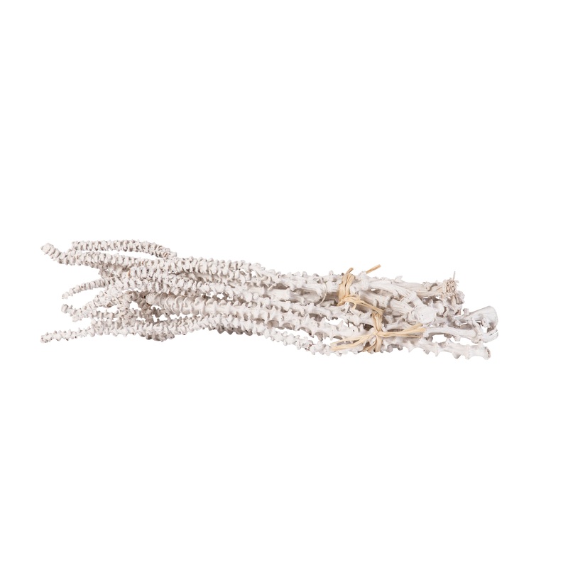 ELK SIGNATURE 742020/S3 Maluku Bleached Banana Bunch (Set of 3)